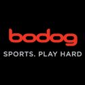 bodog casino allows usa players